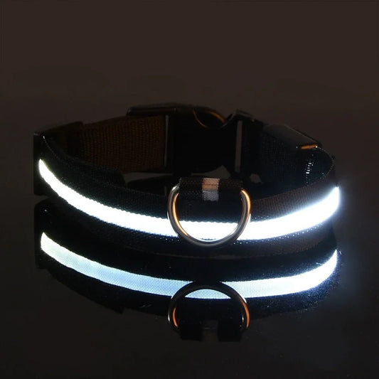 Collier Chien - LEDCollarDog™ - Noir - GALAXY DES CHIENS