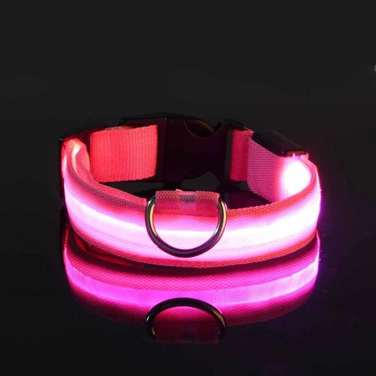Collier Chien - LEDCollarDog™ - Rose - GALAXY DES CHIENS