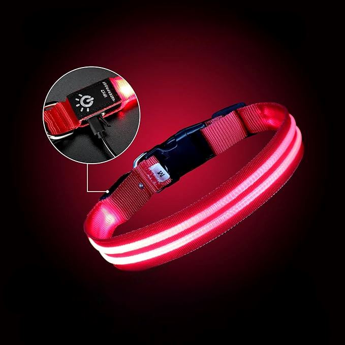 Collier Chien - LEDCollarDog™ - Rose - GALAXY DES CHIENS