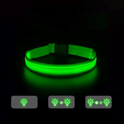 Collier Chien - LEDCollarDog™ - Vert - GALAXY DES CHIENS
