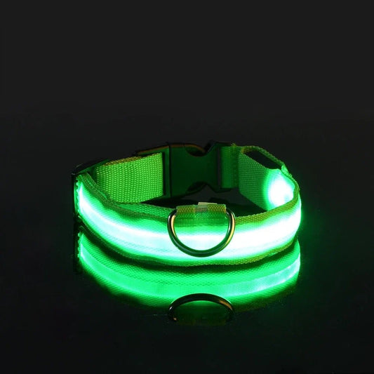 Collier Chien - LEDCollarDog™ - Vert - GALAXY DES CHIENS