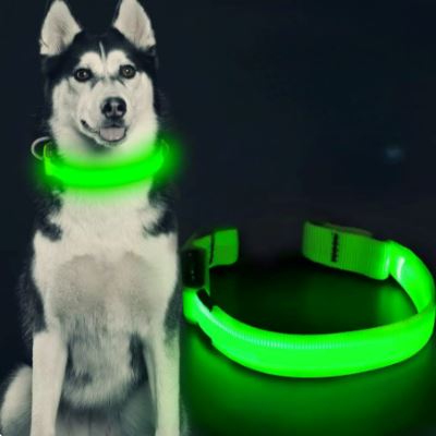 Collier Chien - LEDCollarDog™ - Vert - GALAXY DES CHIENS