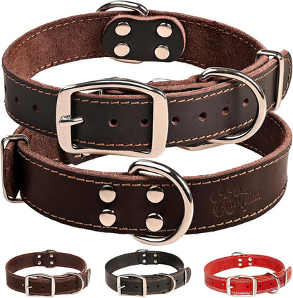 Collier pour chien / naturalcanine - GALAXY DES CHIENS