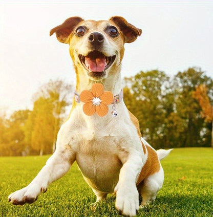Collier pour petit chien/ bijou canin - GALAXY DES CHIENS