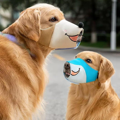 deux chiens observant nature avec museliere chein