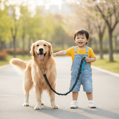 Enfant avec golden retriever laisse canicross