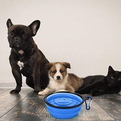 Gamelle pour Chien - SiliconeDogBowl™ - Bleu - GALAXY DES CHIENS