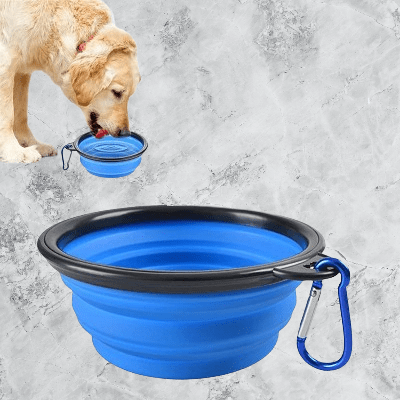 Gamelle pour Chien - SiliconeDogBowl™ - Bleu - GALAXY DES CHIENS