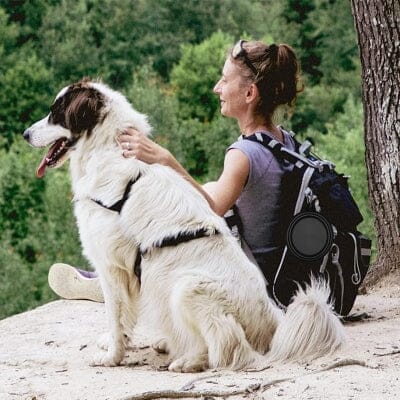 Gamelle pour Chien - SiliconeDogBowl™ - Noir - GALAXY DES CHIENS