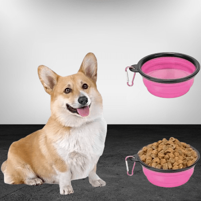 Gamelle pour Chien - SiliconeDogBowl™ - Pourpre - GALAXY DES CHIENS