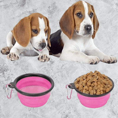 Gamelle pour Chien - SiliconeDogBowl™ - Pourpre - GALAXY DES CHIENS