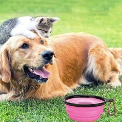 Gamelle pour Chien - SiliconeDogBowl™ - Pourpre - GALAXY DES CHIENS