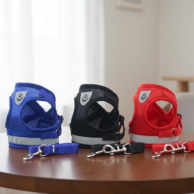 gamme harnais chien