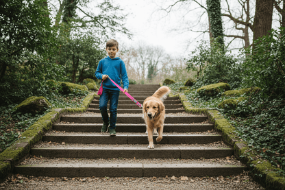 Garçon avec son chien dans un escalier avec la longe rose