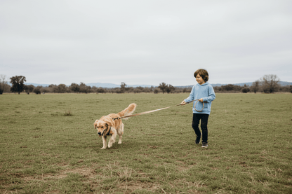 Garçon avec son chien dans un espace ouvert avec longe beige/crème