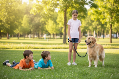 Garçons  parc observant fillette chien laisse canicross