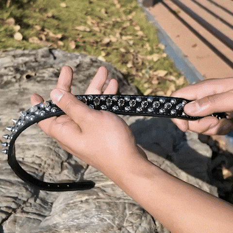 gif collier pour chien cuir qualité 