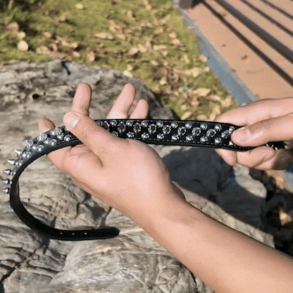gif collier pour chien cuir qualité 
