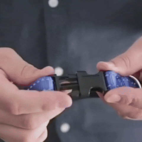 gif collier pour chien nylon