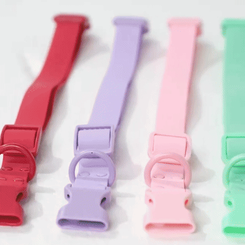 Collier chien - Confort Durable