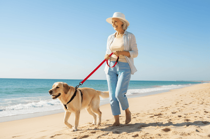 Grand-mère  plage avec chien laisse rouge
