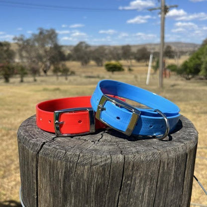 jeux de collier chien