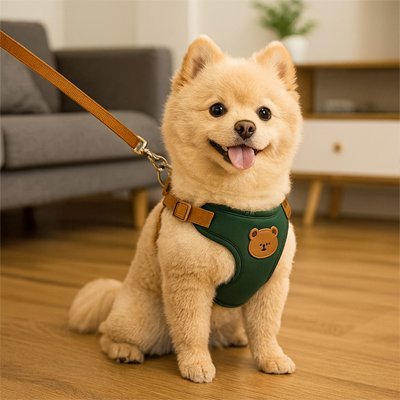joli-minou-assis-avec-harnais pour petit chien
