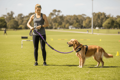 max-entrainement-avec-maitre-laisse-pour-chien-violette
