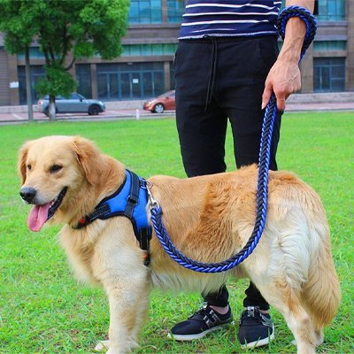 max-maitre-entrainement-avec-laisse-pour-chien