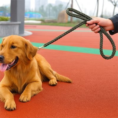 max-repos-entrainement-avec-laisse-pour-chien