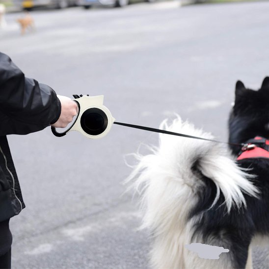 mignon-chien-avec-sa-laisse-pour-chien