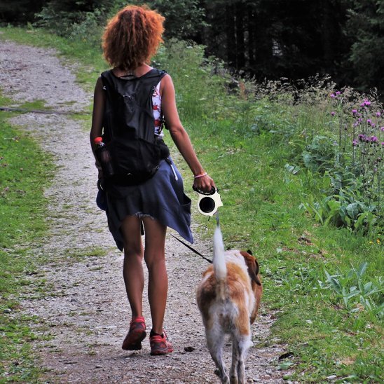 mignon-chien-ille-avec-sa-laisse-pour-chien