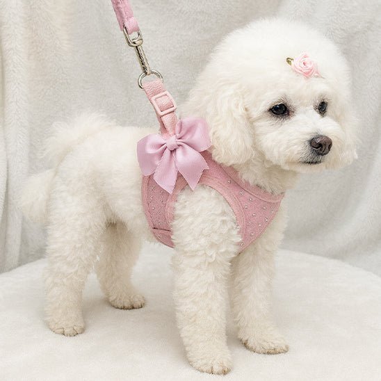 mignon chien marchant avec son rose
