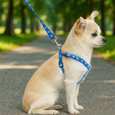 mignon chiot parc avec harnais