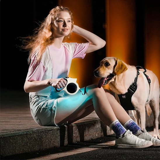mignon-debout-maitre-avec-sa-laisse-pour-chien