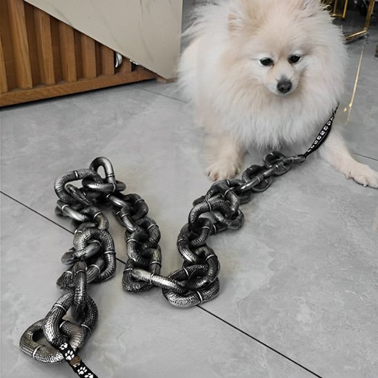 minou-assis-avec-laisse-chien-mettallique