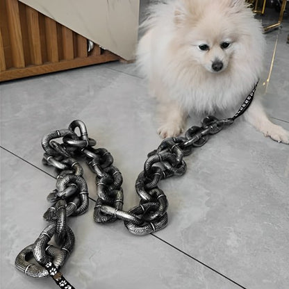 minou-assis-avec-laisse-chien-mettallique