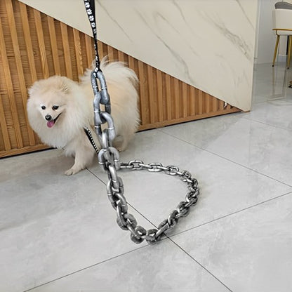 minou-balcon-jouant-avec-laisse-chien
