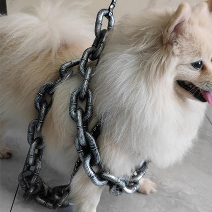 minou-enroulant-sa-laisse-chien