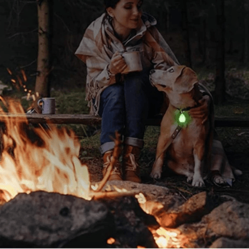 minou soiree traditionnelle avec son collier led