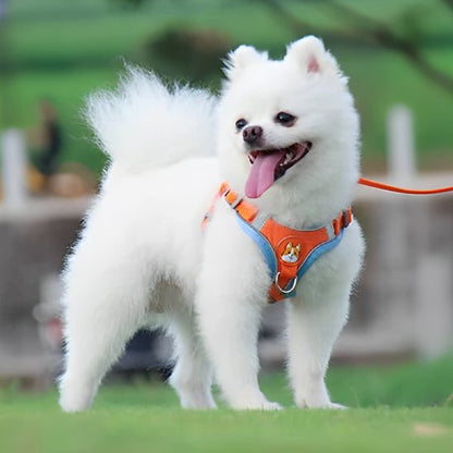 nounous merveilleux dans son harnais pour chien