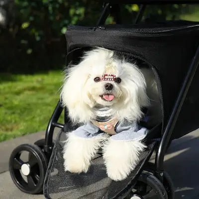 Poussette pour Chien - PetStroller™ - Noir - GALAXY DES CHIENS