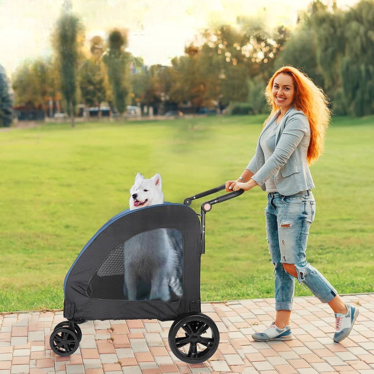 Poussette pour Chien - StrollyPet™ - Bleu - GALAXY DES CHIENS