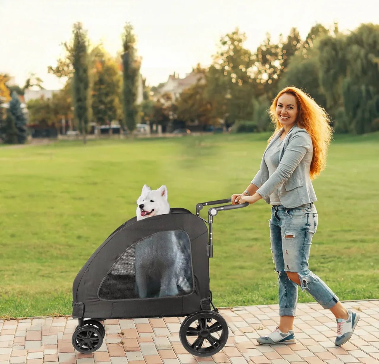 Poussette pour Chien - StrollyPet™ - Noir - GALAXY DES CHIENS