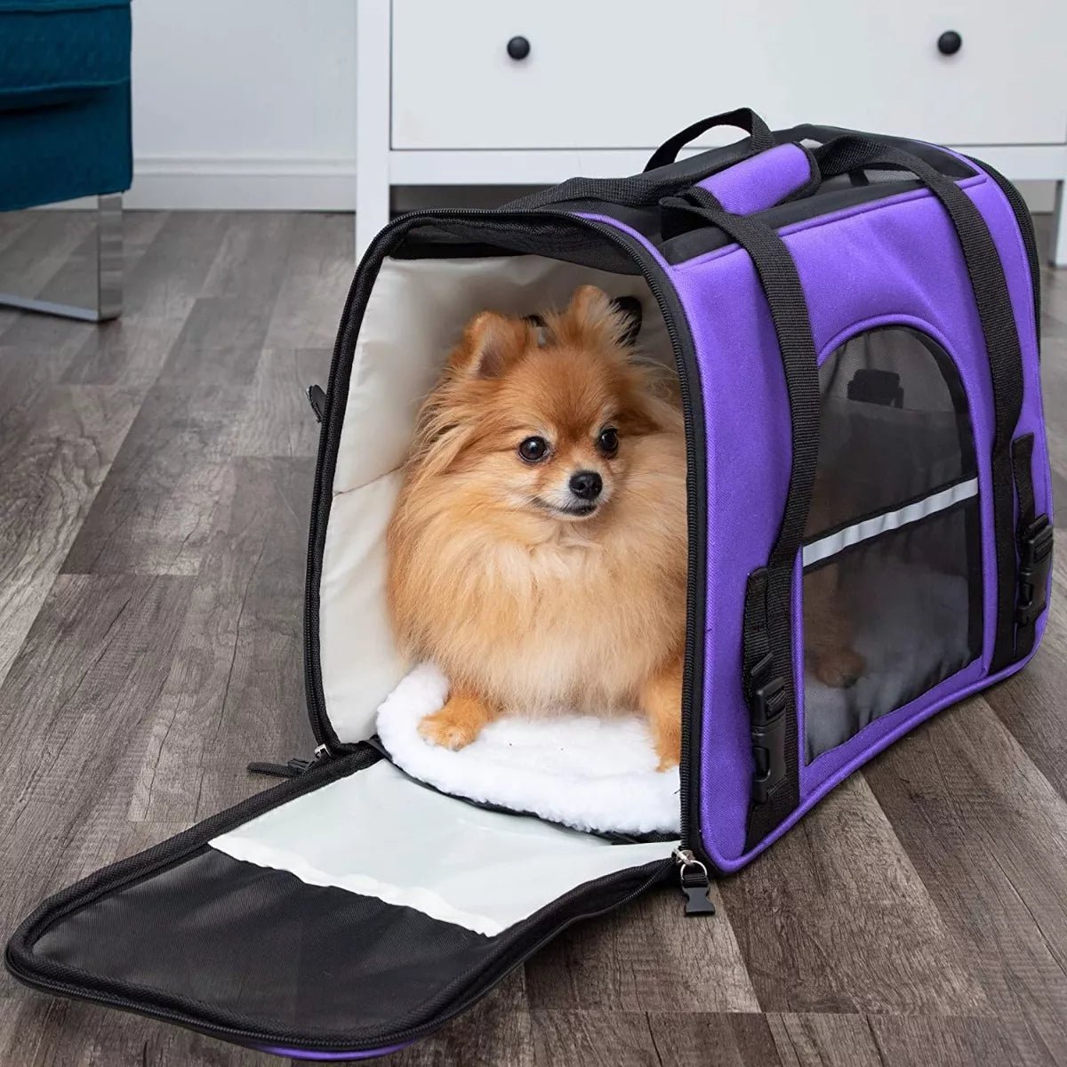 Sac de Transport pour Chien - DogCarrierBag™ - Violet - GALAXY DES CHIENS