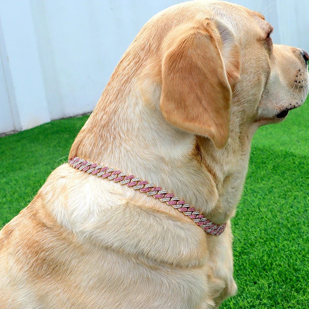 tres mignon collier chien rose