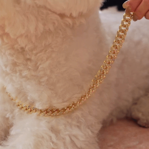 Collier chien - chaine cubaine diamant